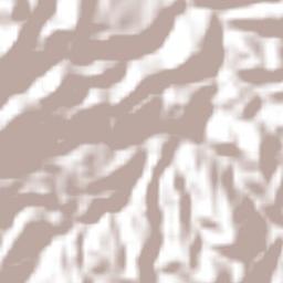 Xicotlán Terrain Map