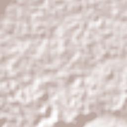 Colonia la Central Terrain Map