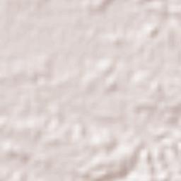 Mundo Nuevo Terrain Map