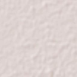 Blasillo 1ra. Sección (Nicolás Bravo) Terrain Map