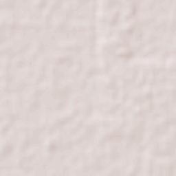 Poblado C-21 Licenciado Benito Juárez García Terrain Map