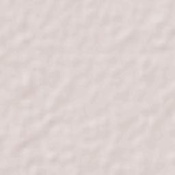 Rancho Nuevo Terrain Map