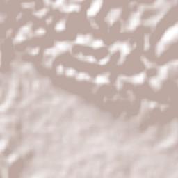 Brompton Terrain Map