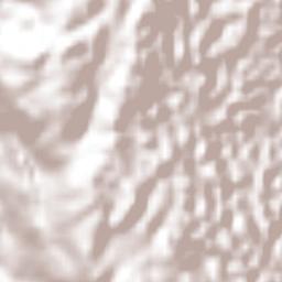 Maidstone Terrain Map