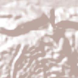 Bog Walk Terrain Map