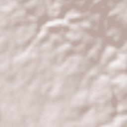 Pedernales Terrain Map