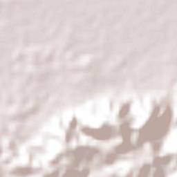 Cabo Rojo Terrain Map