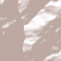 Mazatlán Villa de Flores Terrain Map