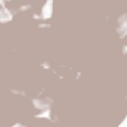 San Bartolomé Ayautla Terrain Map