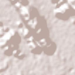 Camelia Roja Terrain Map