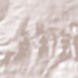 Quiamoloapan Terrain Map