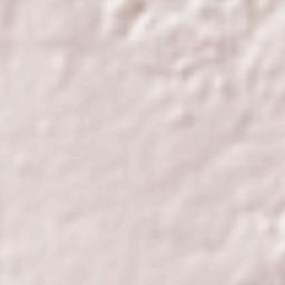 Comején Terrain Map