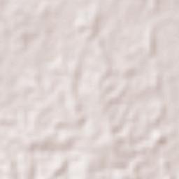 Chinameca Terrain Map