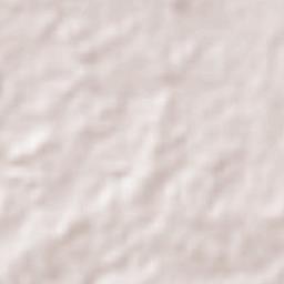 José F. Gutiérrez Terrain Map