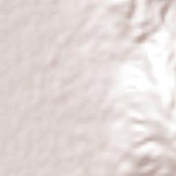 Burnt Savannah Terrain Map