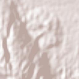 Santa Cruz Terrain Map