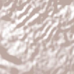 Richmond Park Terrain Map