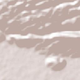 Caymanas Terrain Map