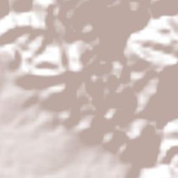 Hope Pastures/ UTECH Terrain Map