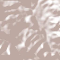 Paraíso Terrain Map