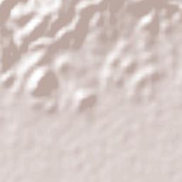 Palmarejo Terrain Map