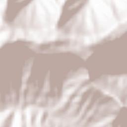 Raireshwar Terrain Map