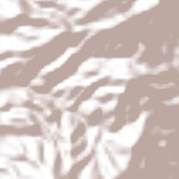 Ahuehuepan Terrain Map