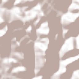 Santiago Miltepec Terrain Map