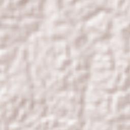 San Benito Encinal Terrain Map