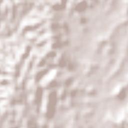 Moloacán Terrain Map