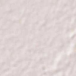 Brisas del Carrizal Terrain Map