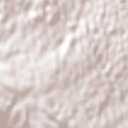 Spur Tree Terrain Map