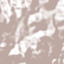 San Lorenzo Vista Hermosa Terrain Map