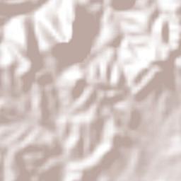 San José Ayuquila Terrain Map