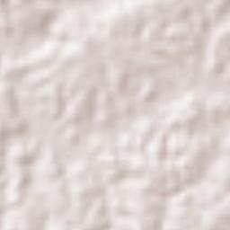 Congregación Hidalgo Terrain Map