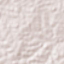 Acayucan Terrain Map