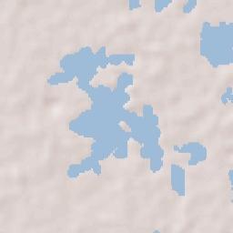 Gaviotas Sur (El Cedral) Terrain Map