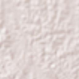 Barrancas y Amate 3ra. Sección Terrain Map