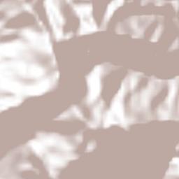 Richmond Vale Terrain Map