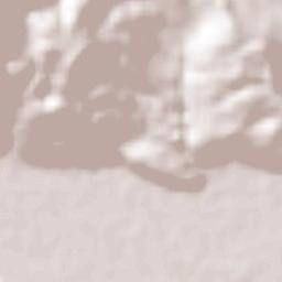 Rowlandsfield Terrain Map