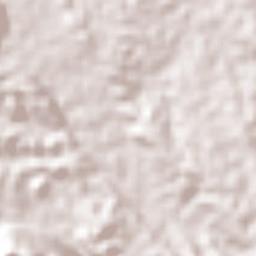 Bethania Terrain Map