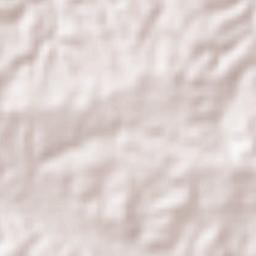 Cruz del Milagro Terrain Map