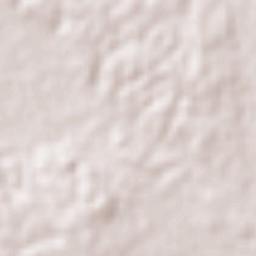 Las Choapas Terrain Map