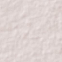 Tecominoacán Terrain Map