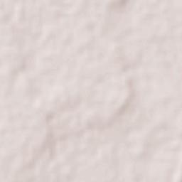 El Triunfo Terrain Map