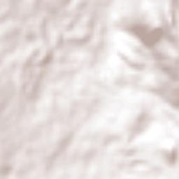 Bigwoods Terrain Map