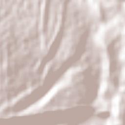 Rose Hall Terrain Map