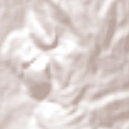 New Forest Terrain Map