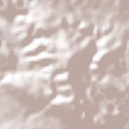 Enriquillo Terrain Map