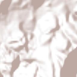 Tlalcozotitlán Terrain Map